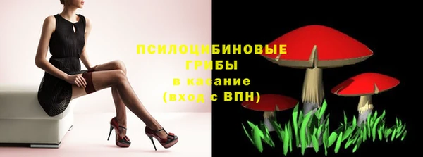 соль курить ск Бородино