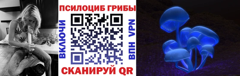 Галлюциногенные грибы Psilocybine cubensis  MEGA   Рузаевка 